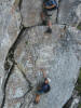 ferrata