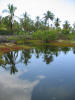 hawai