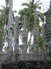 hawai