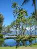 hawai