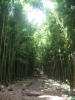 hawai