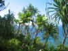 hawai