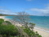 hawai