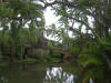 hawai