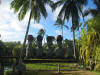 hawai