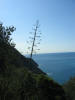 ita/5terre07ai