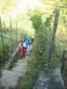 ita/5terre08ai