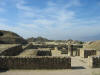 mex