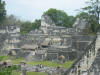 mex