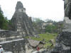 mex