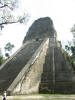 mex