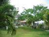 mex