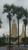 hawai