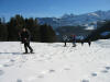 2006