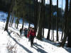 2006