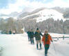 2006