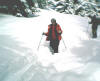 2006