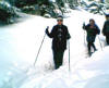 2006