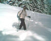 2006