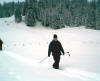 2006
